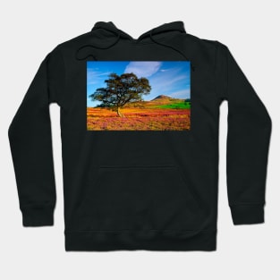 Autumn Moorland Heather on the North York Moors Hoodie